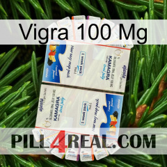 Vigra 100Mg kamagra1